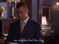 season 3 netflix GIF by Gilmore Girls 