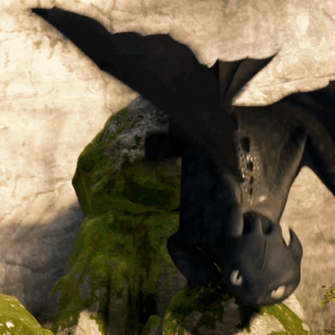 mad slow walk GIF by How To Train Your Dragon