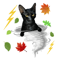 Fast And Furious Like A Hurricane Sticker