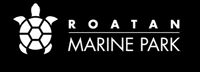 Rmp GIF by Roatan Marine Park