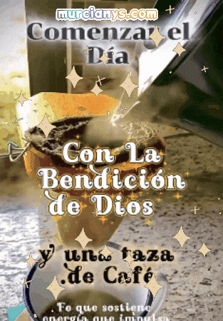 Amigos Comenzar GIF by Murcianys LLC