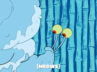 season 5 GIF by SpongeBob SquarePants