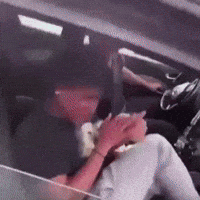 Friends Car GIF