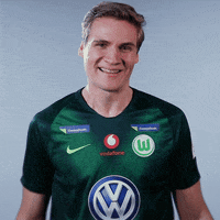 fifa 18 football GIF by VfL Wolfsburg