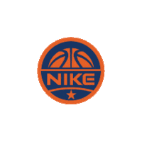 Logo Basketball Sticker by Nike Japan