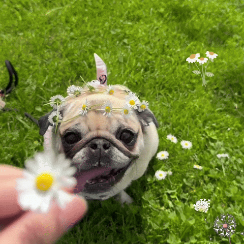 I Love You Smile GIF