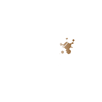 quartacaffe puglia salento specialty coffee quarta caffe Sticker