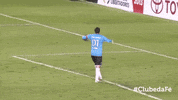 rogerio ceni GIF by São Paulo FC