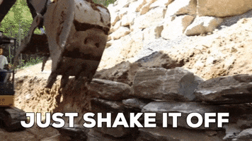 Shake It Off GIF by JC Property Professionals