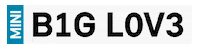 Big Love Sticker by MINI