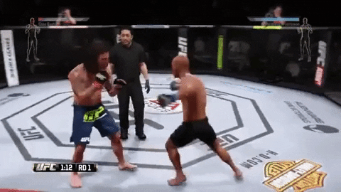 Combat_Sports_Fan giphygifmaker GIF