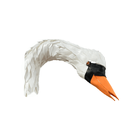 marziafappani giphygifmaker swan cigno lapetalaia Sticker