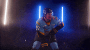 Hockey Echl GIF by Toledo Walleye