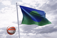 cristinamosillolabbad  GIF