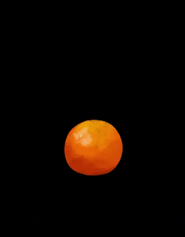 nkpcreate giphyupload orange fruit citrus GIF