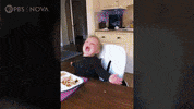 Kids Apple GIF by PBS Digital Studios
