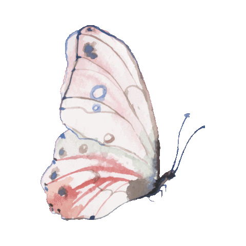 elistorycriativo borboleta elistorycriativo butterfly Sticker