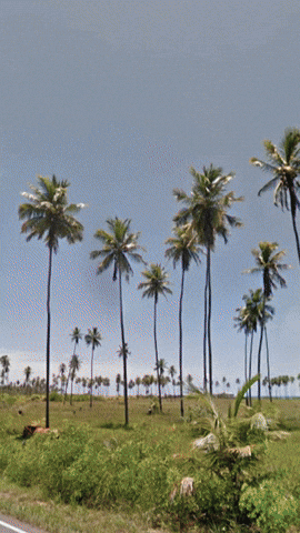 Simongip giphyupload GIF