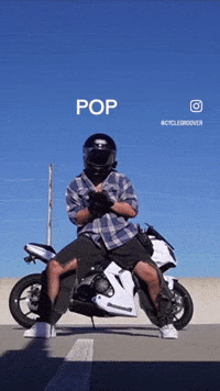 Celebrate She Will GIF