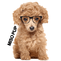 dog what Sticker by MISO PUP