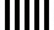 Happy Dance GIF by SK Sturm Graz