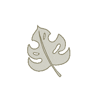 Summer Leaf Sticker by Lebenskompass
