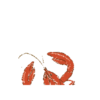 SvenskHusman socks sweden lobster swedish Sticker