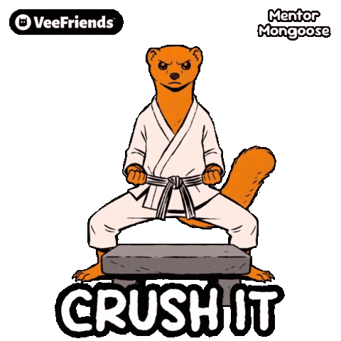 Karate Crush It Sticker by VeeFriends