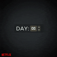 netflix streaming GIF