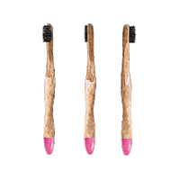 natboobrush cute bamboo natboo bambootoothbrush Sticker