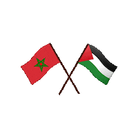 Palestine Sticker by classyandfabb