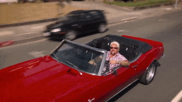 driving guy fieri GIF