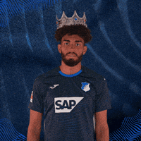 Sport Bundesliga GIF by TSG Hoffenheim