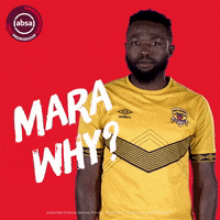 south african soccer GIF