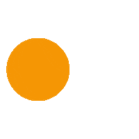 Mandarin Orange Sticker