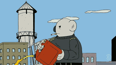 koala GIF