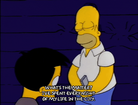 homer simpson GIF