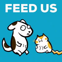 Hungry Cat GIF by Poku Meow