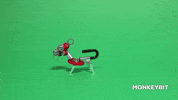 Monkey GIF by TheOffbits