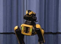 Tonight Show Dance GIF by The Tonight Show Starring Jimmy Fallon