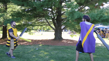 College Fighting GIF by Western Illinois University