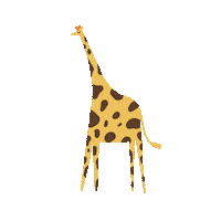 Zoo Giraffe Sticker by yessiow
