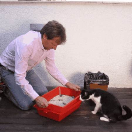 webindustex giphygifmaker GIF