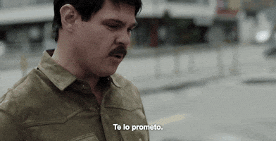 el chapo s3 GIF by netflixlat
