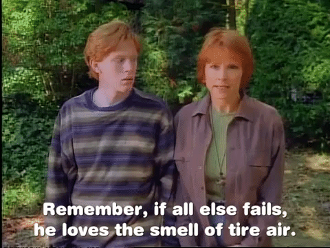 season 2 GIF