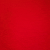 Breamber Scott GIF by Texas Tech Women's Basketball