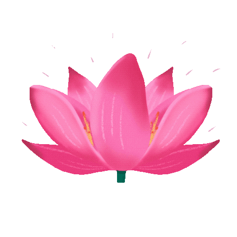 Lotus Flower Pink Sticker