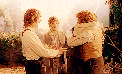 the lord of the rings sam GIF