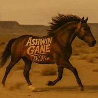 Playboi Carti Concert GIF by Ashwin Gane