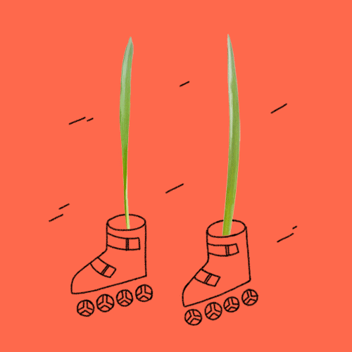 grass blades rollerblades GIF by louismor